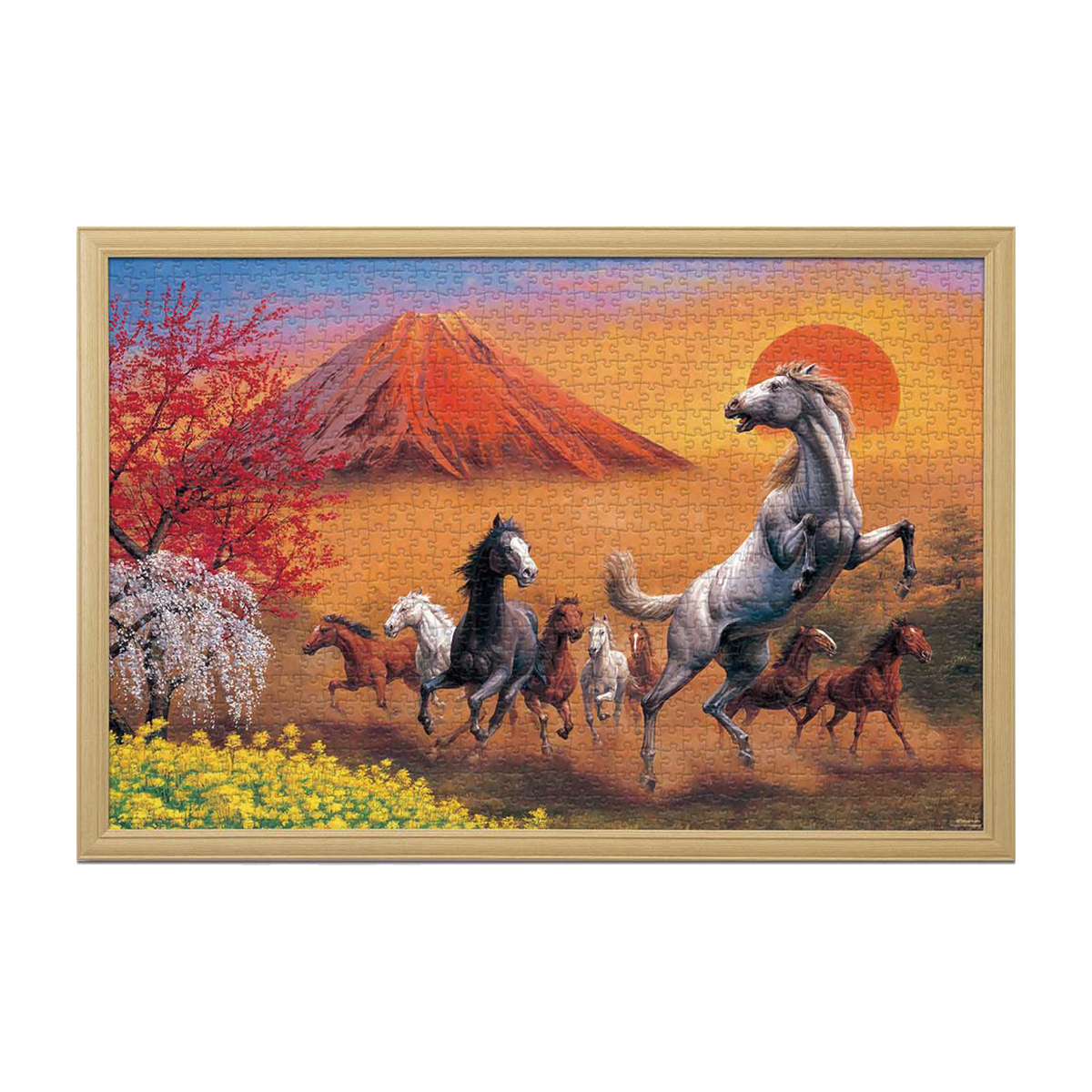 1000pcs/冨嶽翔馬 フレームセット