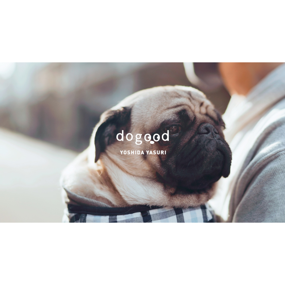 dogood ドッグット ペット用爪ヤスリ