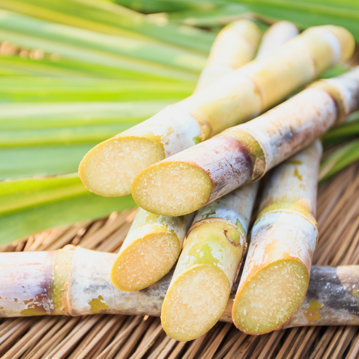 アロマディフューザーレフィル　和白茶