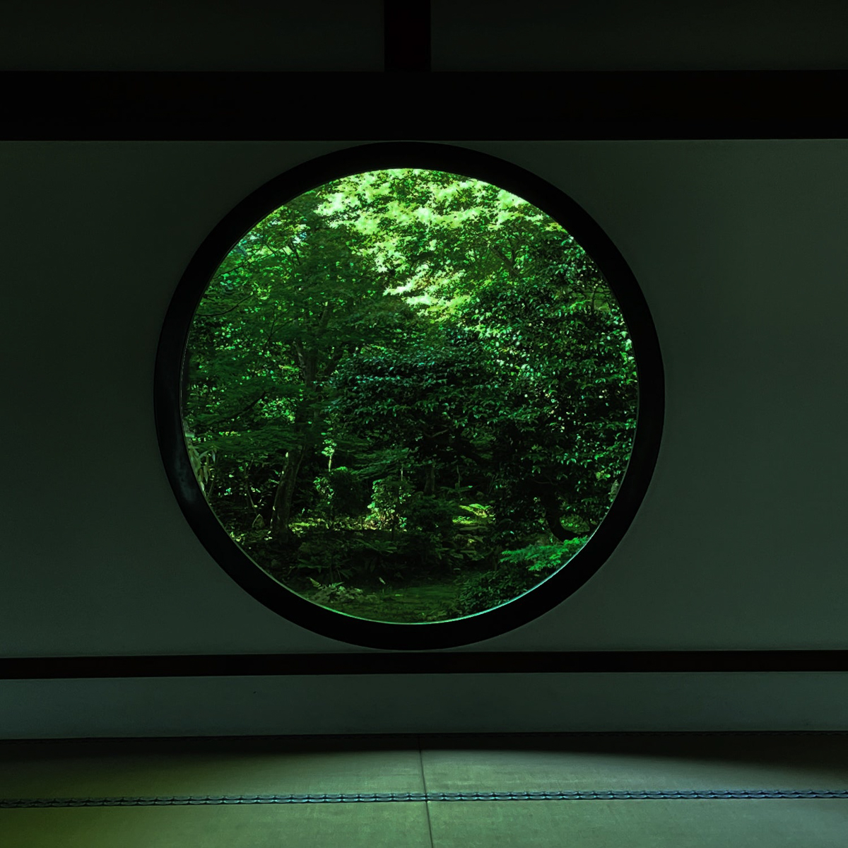 除菌 ファブリックミスト　和白茶