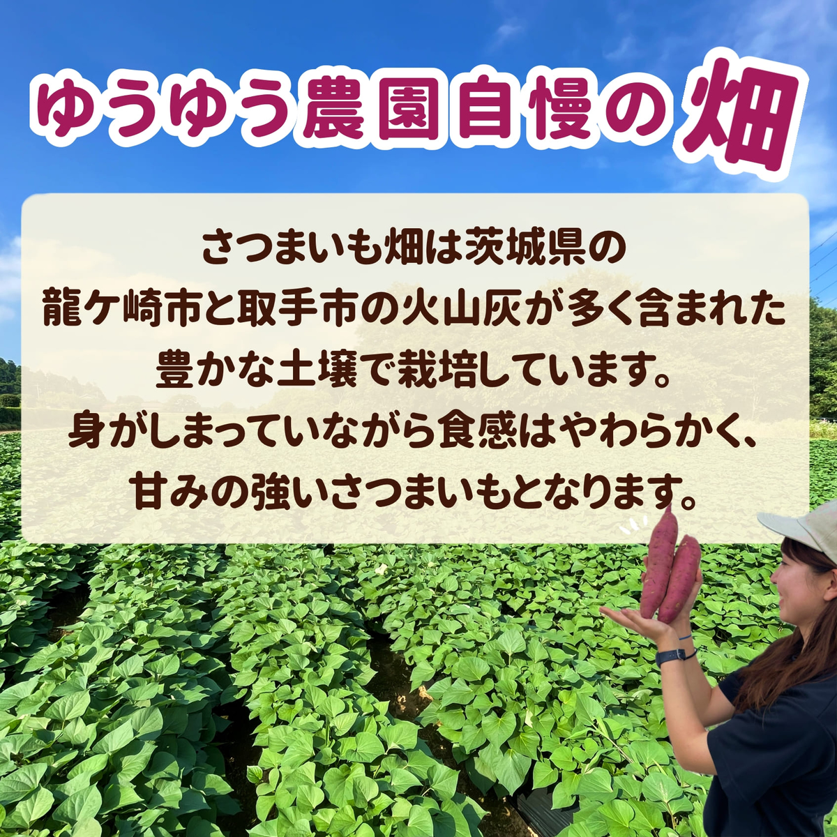 【冷凍】特選熟成紅はるか焼き芋 600g