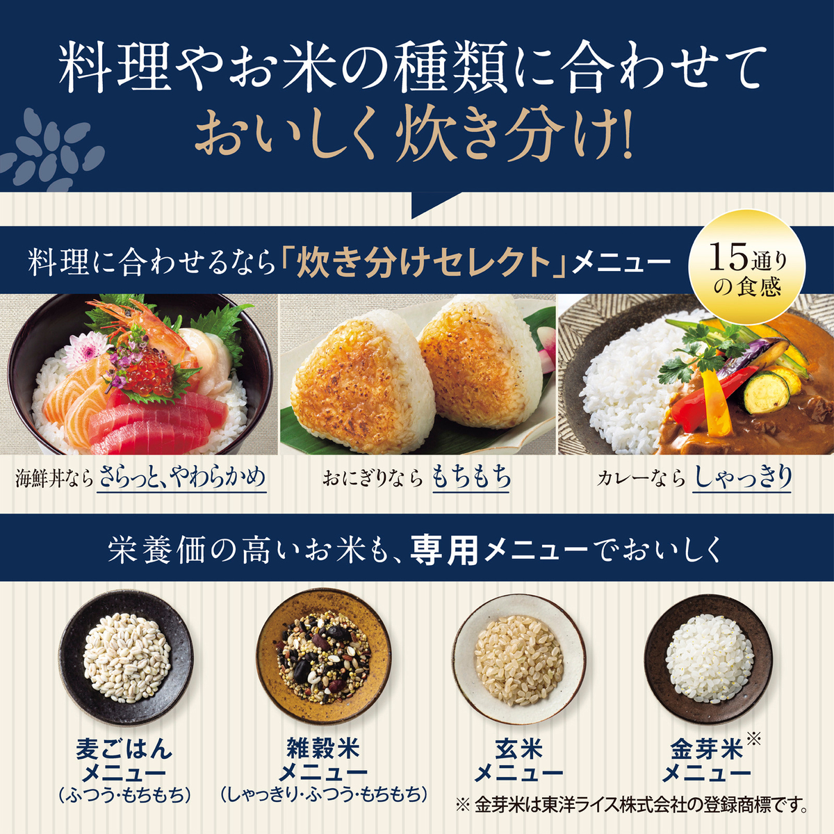 【象印】炎舞炊き　圧力IH炊飯ジャー　5.5合炊き　NX-AA10