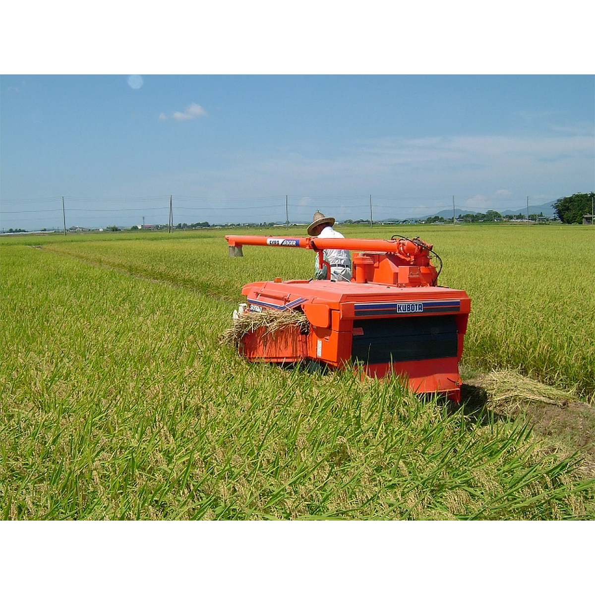 山形県産　雪若丸 ５kg